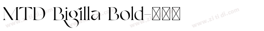 MTD Bigilla Bold字体转换